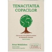 Tenacitatea copacilor. Cum ne pot salva padurile seculare de schimbarile climatice daca le lasam