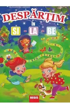 Despartim in si-la-be de Alexandru Andrei