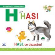 H de la Hasi. Cartonata