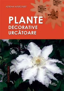 Plante decorative uscatoare de Adrian Margarit