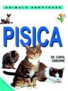 Pisica