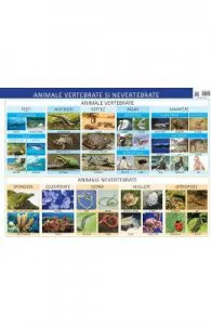 Plansa Animale vertebrate si nevertebrate de Florica Alexandrescu