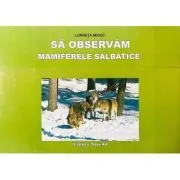 Sa observam mamiferele salbatice. Mapa cu planse de Luminita Mihoc