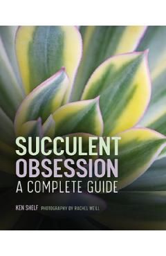 Succulent Obsession: A Complete Guide