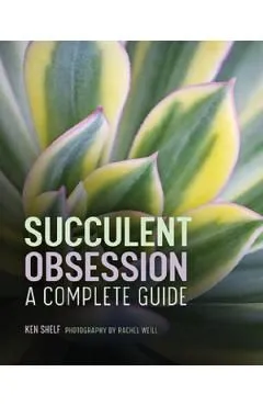 Succulent Obsession: A Complete Guide