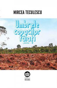 Umbrele copacilor taiati