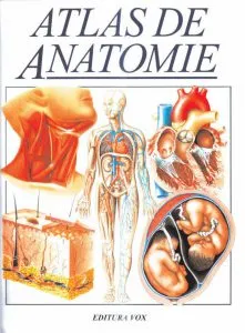 Atlas de anatomie de Trevor Weston