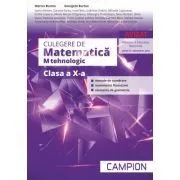 Culegere de Matematica M tehnologic pentru clasa a 10-a de Marius Burtea