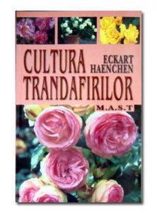 Cultura trandafirilor