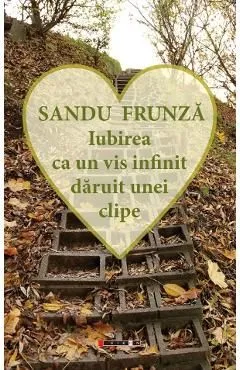 Iubirea ca un vis infinit daruit unei clipe de Sandu Frunza