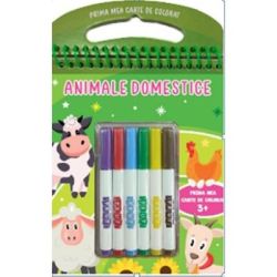 Animale domestice 3 . Cu carioci