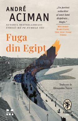 Fuga din egipt