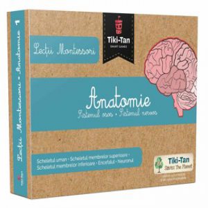 Lectii Montessori. Anatomie. Sistemul osos. Sistemul nervos