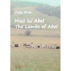 Mieii lui Abel de Clelia Ifrim