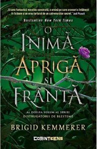 O inima apriga si franta. Seria Distrugatorii de blesteme Vol.2