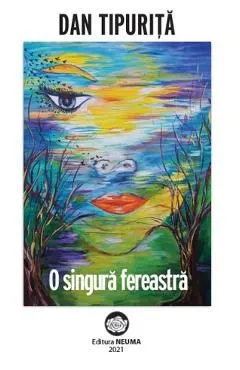 O singura fereastra de Dan Tipurita