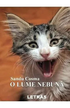 O lume nebuna de Sandu Cosma