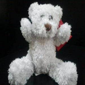 Teddy. Un cadou special