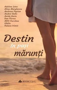 Destin in pasi marunti de Anida Lasto