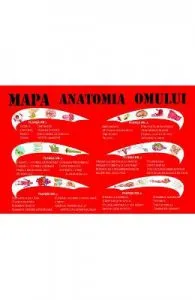 Mapa anatomia omului de Mariana Bodea