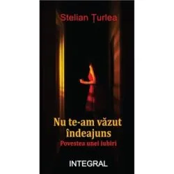 Nu te-am vazut indeajuns. Poveste de iubire de Stelian Turlea