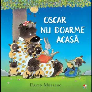 Oscar nu doarme acasa de David Melling