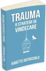 Trauma: 8 Strategii de vindecare de Babette Rothschild