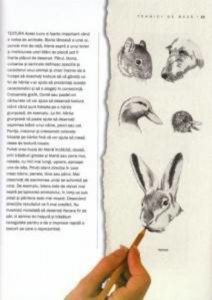 Cum sa desenam animale. Un ghid pas cu pas cu 10 proiecte pentru incepatori