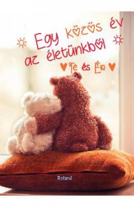 Egy kozos ev az eletunkbol. Te es EN. Jurnalul nostru