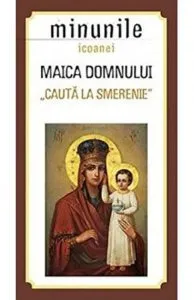 Minunile icoanei Maica Domnului- "Cauta la Smerenie"