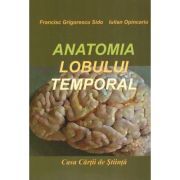 Anatomia lobului temporal