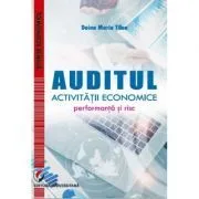 Auditul activitatii economice. Performanta si risc de Doina Maria Tilea