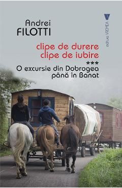 Clipe de durere, clipe de iubire Vol.3: O excursie din Dobrogea pana in Banat