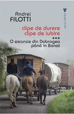 Clipe de durere, clipe de iubire Vol.3: O excursie din Dobrogea pana in Banat de Andrei Filotti