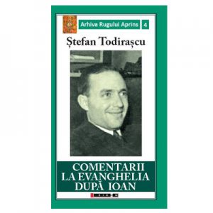 Comentarii la Evanghelia dupa Ioan