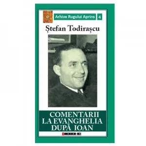 Comentarii la Evanghelia dupa Ioan de Stefan Todirascu