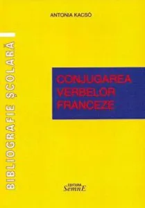 Comunicare in limba romana. Clasa 2 de Daniela Berechet