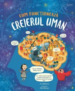 Cum functioneaza creierul uman