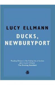 Ducks, Newburyport