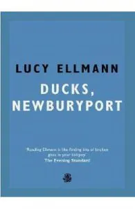 Ducks, Newburyport