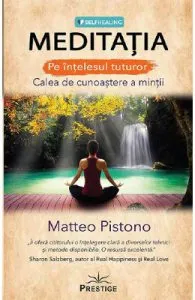 Meditatia pe intelesul tuturor de Matteo Pistono
