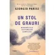 Un stol de grauri. Minunatiile sistemelor complexe de Giorgio Parisi