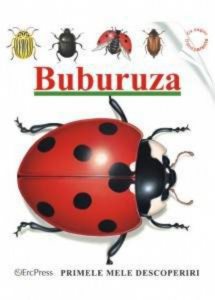 Buburuza