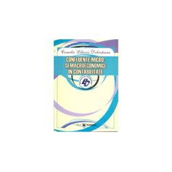 Confluente micro- si macroeconomice in contabilitate