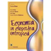 Economia in clepsidra entropica de Florina Bran