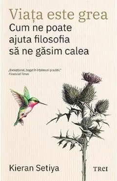 Viata este grea. Cum ne poate ajuta filosofia sa ne gasim calea de Kieran Setiya