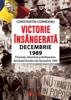 Victorie însângerată. Decembrie 1989