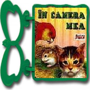 In camera mea