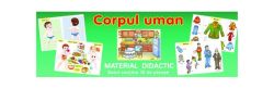 Limba și literatura română. Manual pentru clasa a IV-a, Semestrul II