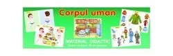 Limba și literatura română. Manual pentru clasa a IV-a, Semestrul II